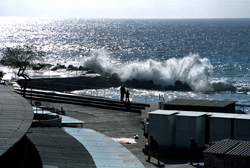 Fino al 19 giugno Daniela Carati al Castello di Ettersburg